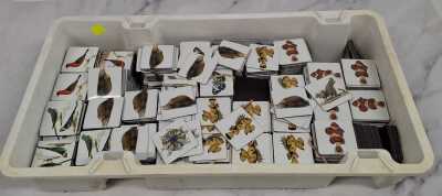 AUSTRALIAN WILDLIFE MAGNETS