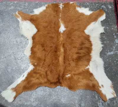 CALF HIDE