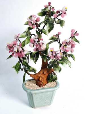 JADE TREE