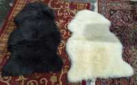 SHEEP SKINS