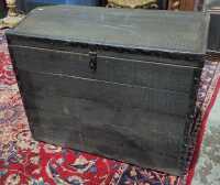 TRAVEL TRUNK