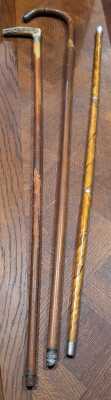 WALKING STICKS