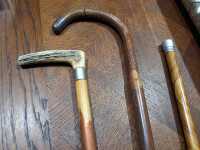 WALKING STICKS - 2