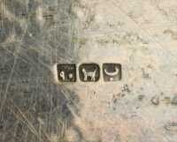 SILVER TRAY - 2