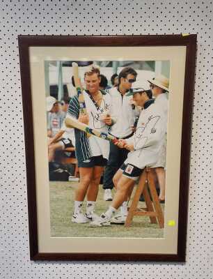 SIGNED CRICKET PRINT