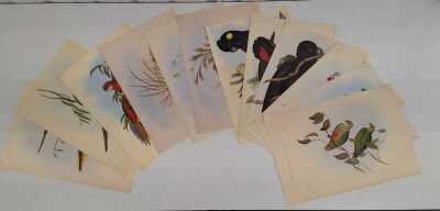 JOHN GOULD