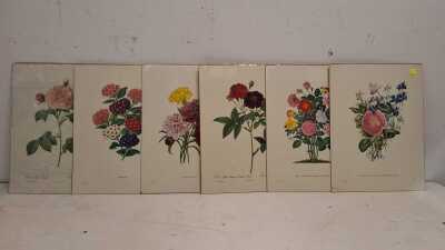 PRINTS