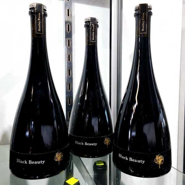 HENTLEY FARM BLACK BEAUTY