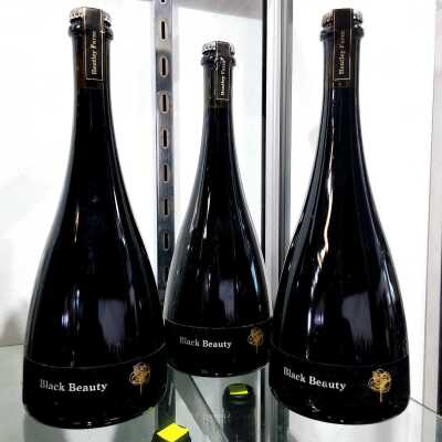 HENTLEY FARM BLACK BEAUTY