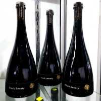 HENTLEY FARM BLACK BEAUTY