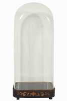 GLASS DISPLAY DOME