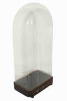 GLASS DISPLAY DOME - 2