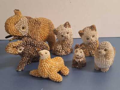 SHELL ANIMALS