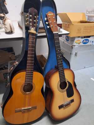ACOUSTIC GUITARS
