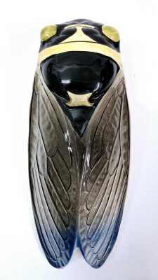 CICADA WALL POCKET