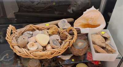 MINERAL SPECIMENS