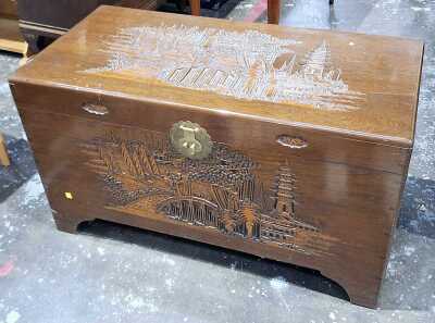 CAMPHOR WOOD TRUNK