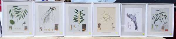 ETCHINGS