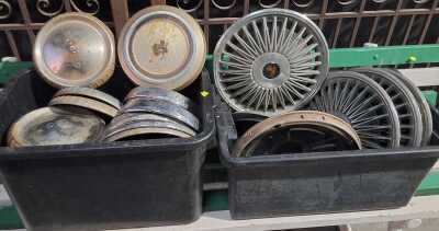HUB CAP LOT