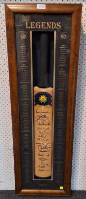 FRAMED CRICKET BAT
