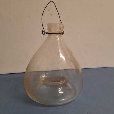 FLY TRAP