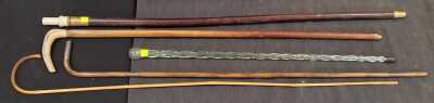 WALKING STICKS