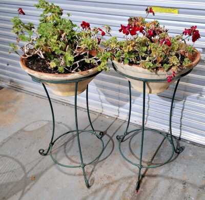 PLANTERS