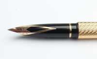 FOUNTAIN PEN - 2