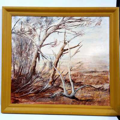 KEITH SHUTTER (AUSTRALIA)