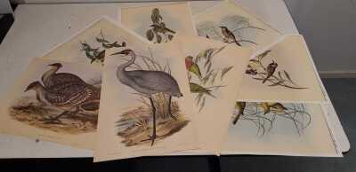 JOHN GOULD