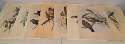 JOHN GOULD