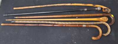 WALKING STICKS